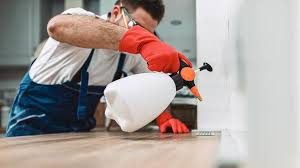 Emergency Pest Control Services in Marble Hill, MO